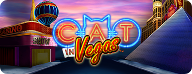 slot Cat in Vegas