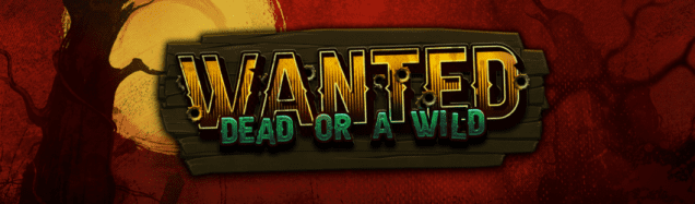 Wanted Dead or a Wild